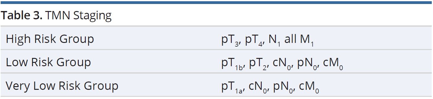 Table 3.JPGTMN staging